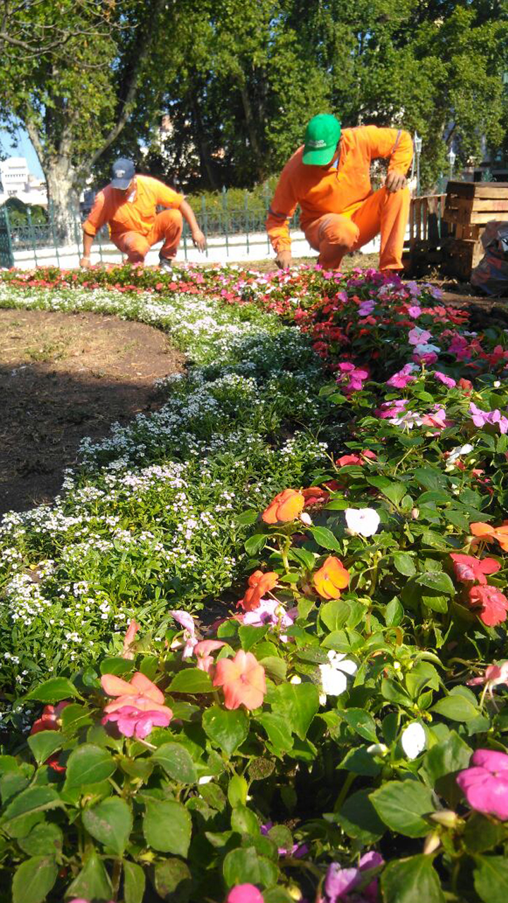 plantiness.jpg